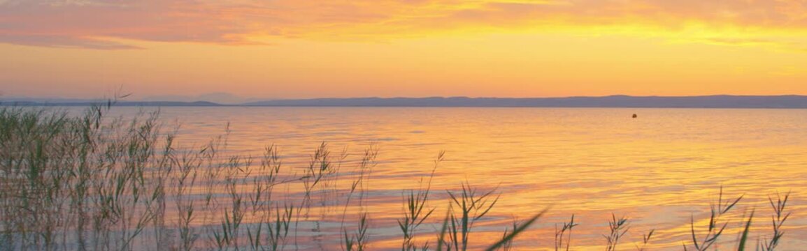 Reeds silhouette at dusk, Lake Neusiedl, minimalist background
