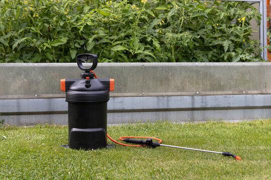 Garden sprayer on lawn beside greenhouse tomato plants