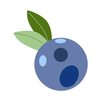 Blueberries isolated on a transparent background