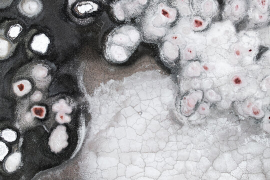 Abstract salt and ice patterns at Laguna Espejo lake