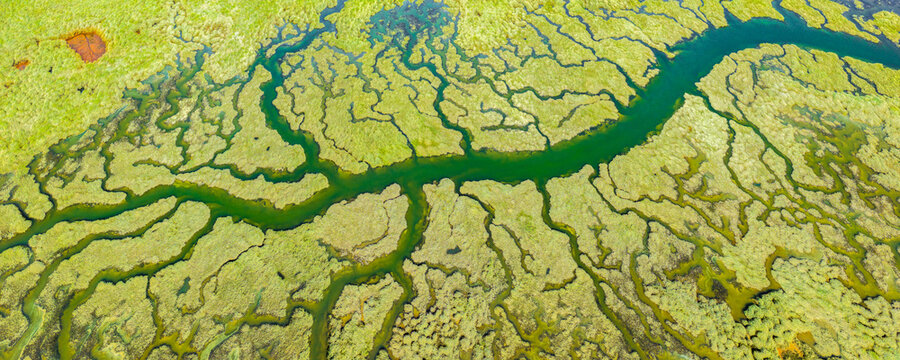 Aerial view of vibrant natural patterns in Huelva marshes