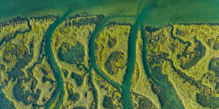 Aerial view of vibrant Guadalquivir Marshes in Huelva