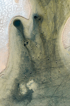 Aerial view of flamingos in Los Flamencos National Reserve