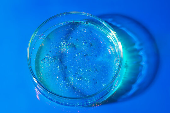 Blue gel in Petri dish with bubbles