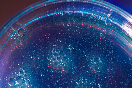 Blue gel bubbles in Petri dish macro background