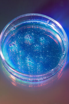 Petri dish with blue gel and iridescent laboratory light