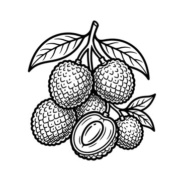 fresh lychee isolated on white background
