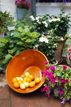 Terracotta bowl with citrus fruit and flowers in Cordoba