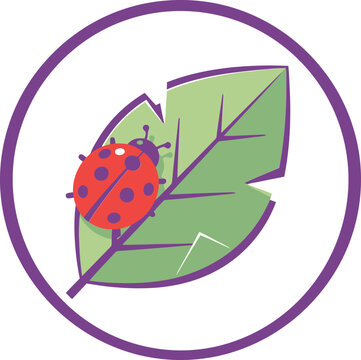 Ladybug on green leaf vector illustration, cute red beetle insect in purple circle frame, nature garden icon for organic branding and education