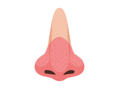 Nasal Rosacea or Nose Disease and Disorder