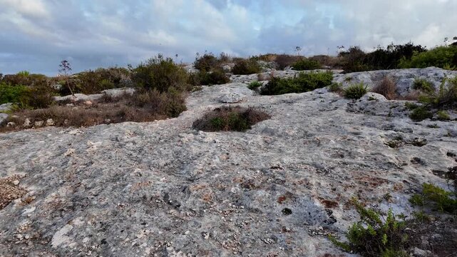 Xemxija, Malta 29.07.2026 - Xemxija Heritage trail, terrain texture near Neolithic tombs dug into the coralline limestone.