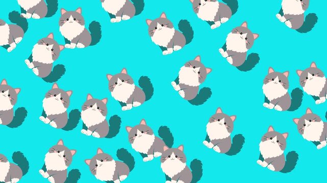 Seamless pattern of cute fluffy grey and white cats on a vibrant blue background