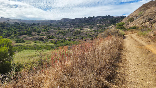 RPV Slide Area