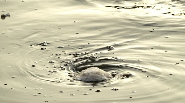 Tokyo,Japan - August 2, 2026: Vortex or Whirlpool in a pond