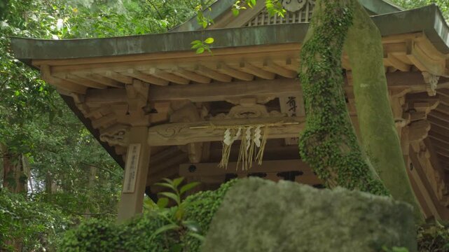 Small wooden Shinto shrine hidden among trees in Dazaifu Japan