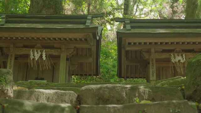 Twin wooden Shinto shrines with sacred paper streamers in Japan