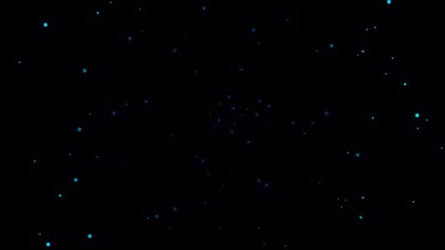 Twinkling stars drifting across dark night sky.