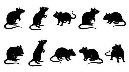 Fototapeta premium Rats in Various Poses and Positions, Black Silhouettes on White Background Featuring Rat, Silhouette, Animal with Rodent