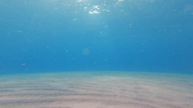 underwater view of seafloor 