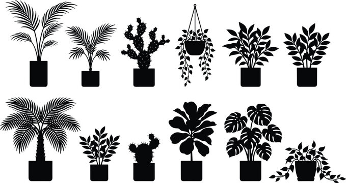 Potted indoor house plants vector silhouette collection featuring monstera palm fiddle leaf fig and cactus icons isolated on white background