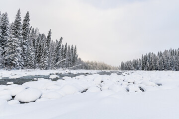 A partially unfrozen river winds through dense snow-laden coniferous forests in a cold winter landscape. © tai