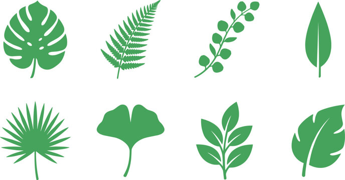 Green Botanical Leaf Silhouette Pack with Monstera Fern Eucalyptus Ginkgo Biloba Fan Palm and Tropical Foliage Symbols for Eco Brandings and Spring Nature Patterns