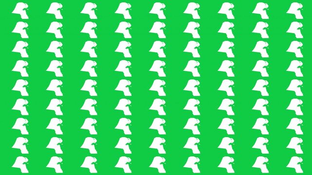 Kuwait map pattern scrolling perfect 15 second loop with green background