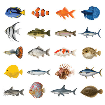 Colorful STEM Education Icons and Symbols for Learning