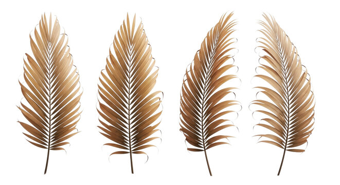 Set of golden palm leaves. Metallic tropical foliage elements Cutout PNG
