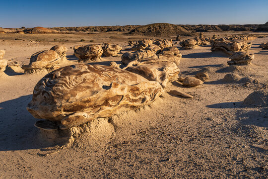 The cracked eggs at Bisti Badlands/De-Na-Zin in Farmington New Mexico