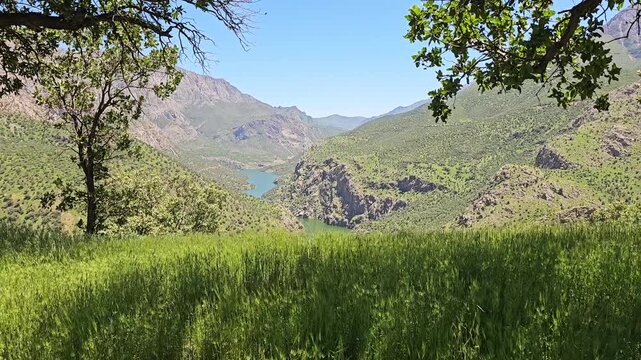 A winding turquoise river carves through a distant valley, framed by leafy branches overhead and a slope of tall grass in the foreground.
📍 Hawraman Takht, Kurdistan, Iran 