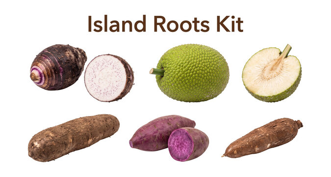 Island roots kit set featuring taro breadfruit yam and cassava staple crops isolated on transparent