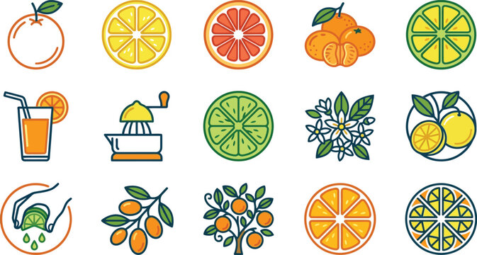 Set of colorful citrus fruit icons and elements.
