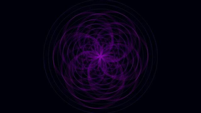 Rotating Purple Sacred Geometry Flower of Life Animation