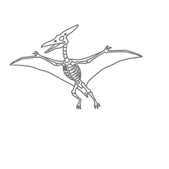 Fototapeta premium Pterodactyl skeleton outline