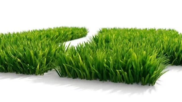 Bright green vibrant grass growing in a perfect square shape on a clean white surface with space
