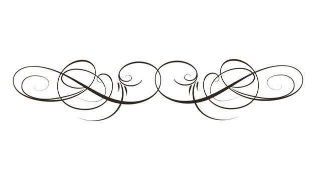 Elaborate scroll divider intricate swirls flourish lines creating beautiful decorative border.