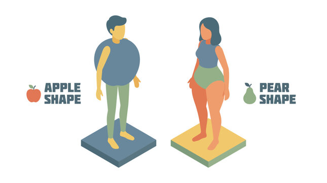 Apple and Pear Body Shapes Isometric Concept Vector Illustration