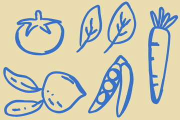 Obraz premium Hand-drawn doodle vegetables vector set including tomato, carrot, peas, turnip, and leaves in blue and cream sketch style