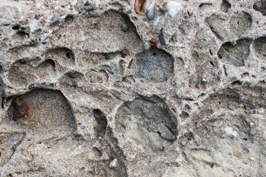 Rough coral stone texture with holes and natural pattern background
