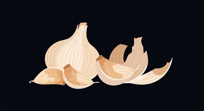 Garlic bulb and cloves on black background