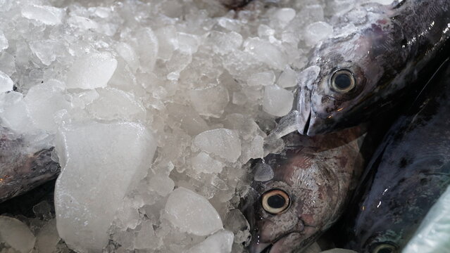 traditional process of freezing fish