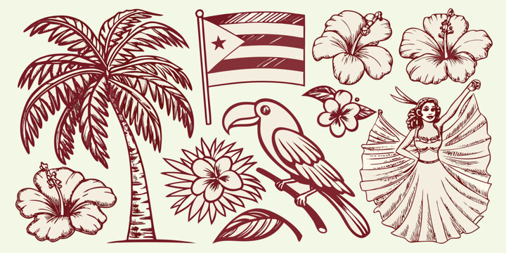 Puerto Rican Cultural Elements Vintage style Vector Illustration
