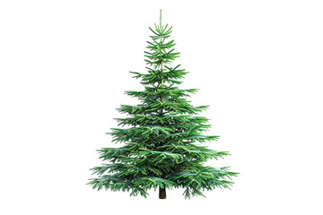 Fototapeta premium Christmas Tree Isolated on Transparent Background, Realistic Green Fir Pine Tree PNG Cutout Ready for Design Use, Festive Holiday Decoration Element for Graphic Projects, High Resolution Nature
