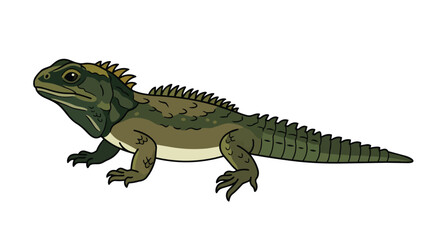 Fototapeta premium Ancient New Zealand Tuatara Reptile Illustration Isolated on White Background with Spiny Crest and Scaly Skin