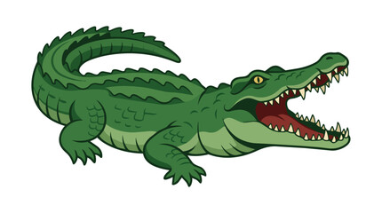Fototapeta premium Ferocious Green Crocodile Alligator with Open Mouth and Sharp Teeth Cartoon Reptile Illustration on White Background