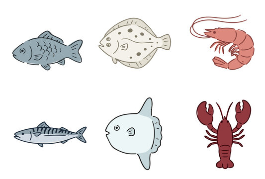Seafood and Fish Vector Illustration Set - Sea Bream, Flounder, Mackerel, Sunfish, Shrimp, and Lobster Hand Drawn Line Art
