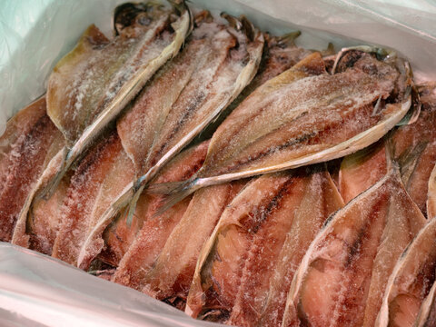 アジの干物