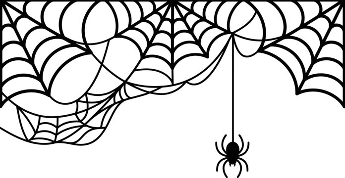 Black spider hanging from a decorative spooky cobweb border for halloween party design Vector