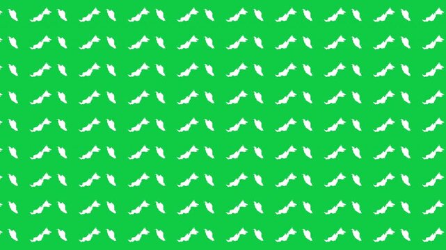 Malaysia map pattern scrolling perfect 15 second loop with green background